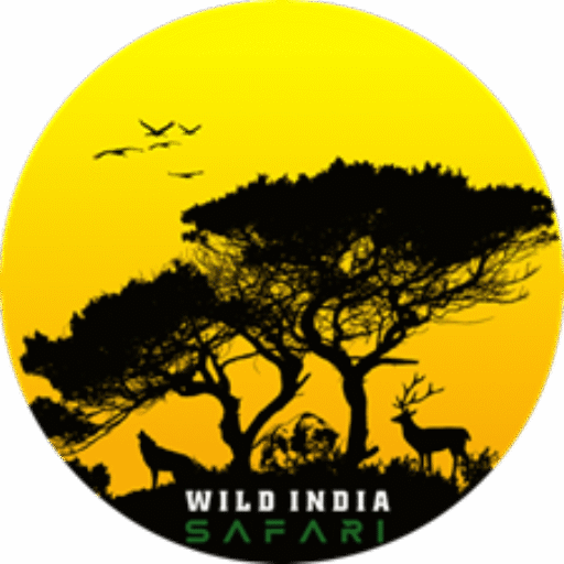 Wild India Safari