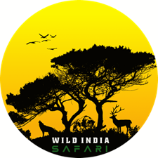 Logo of Wild India Safari featuring a silhouette of wildlife under acacia trees at sunset, with a tiger, deer, and wolf in the foreground and birds flying in the sky