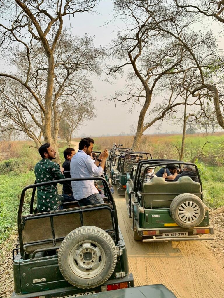 Tourists enjoy a thrilling jeep safari through the scenic landscapes of Kanchanjuri, India.