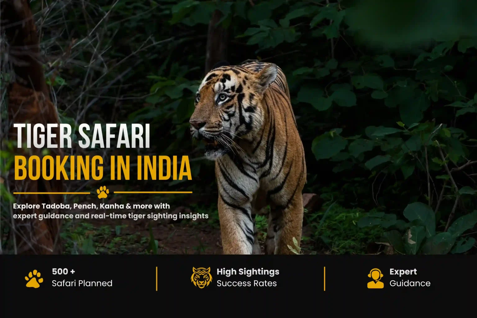 Tiger Safari booking in India