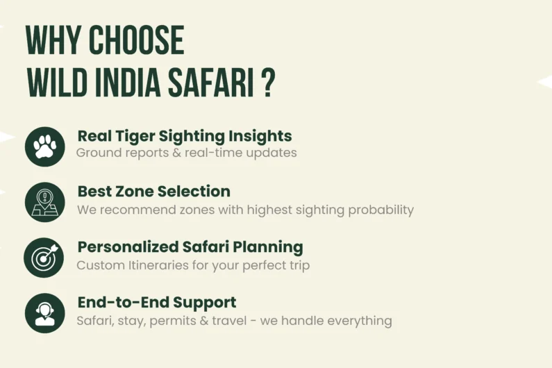 why choose wild india safari