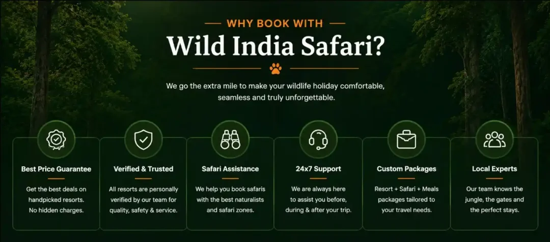 about wild india safari